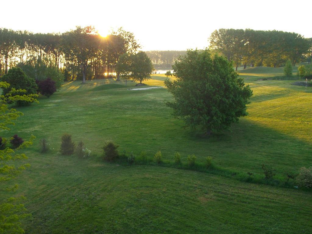 Birdland Panorama Apartman Bük Rum bild